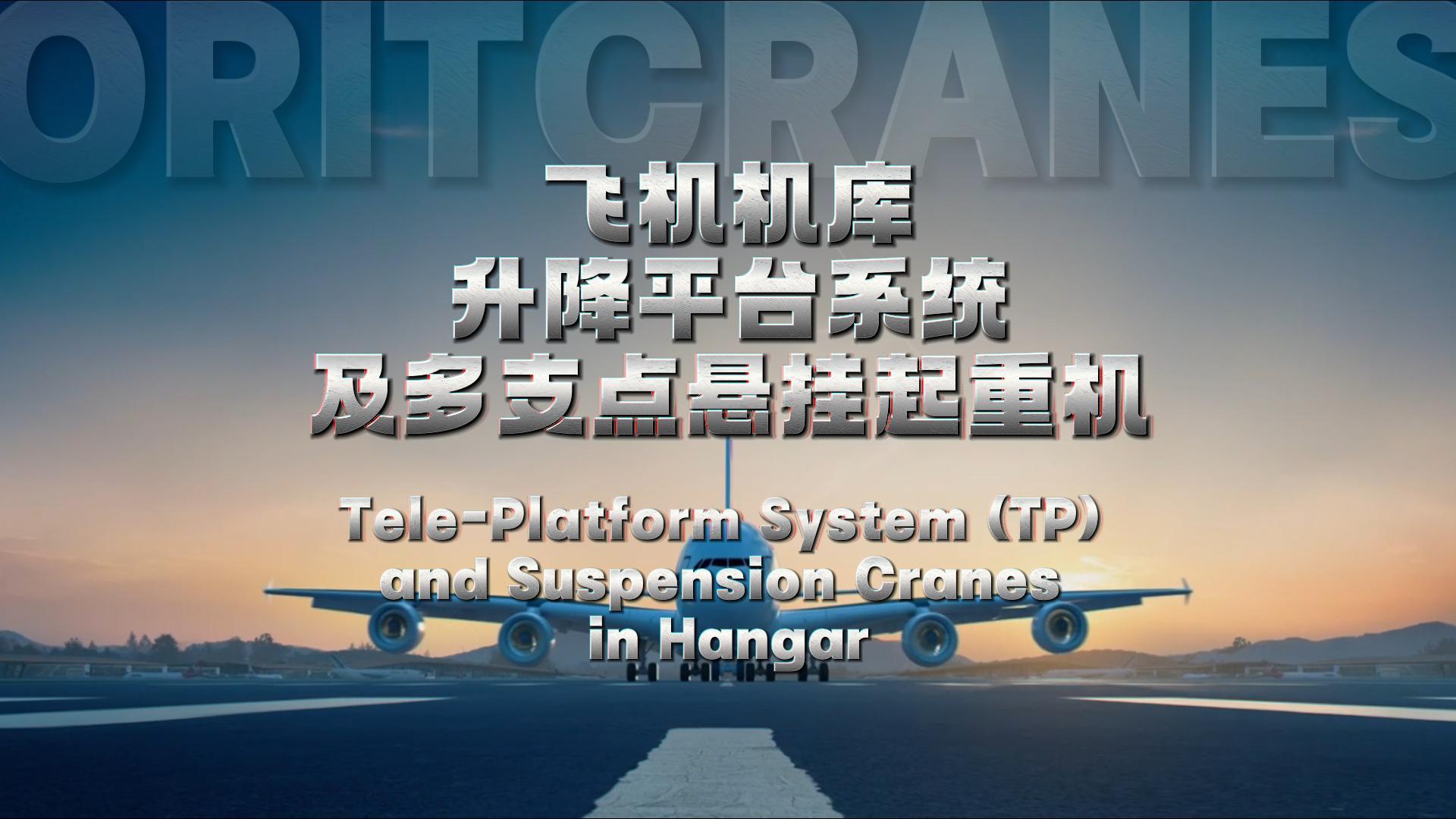 今年会航空起重机及升降平台TP